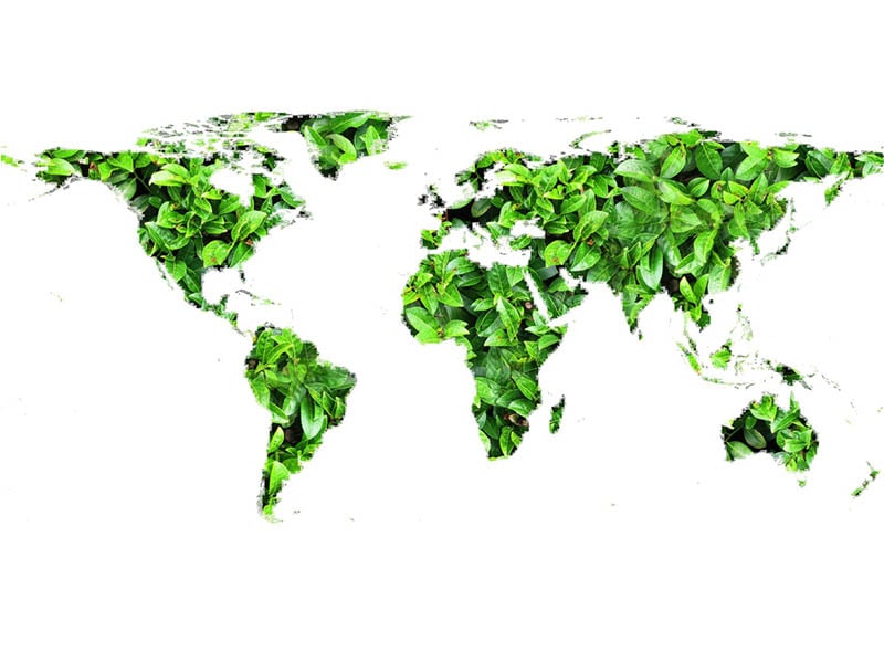 Classification of green packaging materials